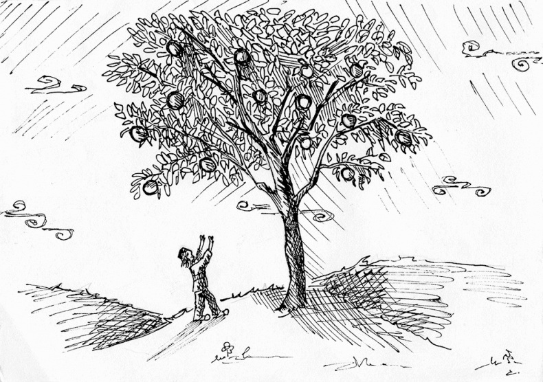 Иллюстрация к книге — Притчи@ру. 77 сентиментальных историй [Autogen_eBook_id0.jpg]