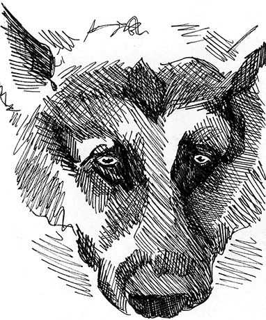 Иллюстрация к книге — Притчи@ру. Секрет счастья [Autogen_eBook_id16.jpg]