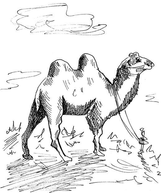 Иллюстрация к книге — Притчи@ру. Секрет счастья [Autogen_eBook_id24.jpg]