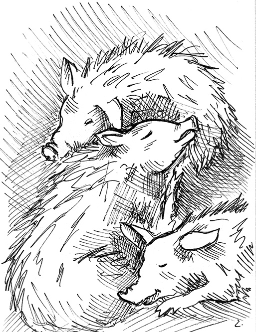 Иллюстрация к книге — Притчи@ру. Секрет счастья [Autogen_eBook_id26.jpg]