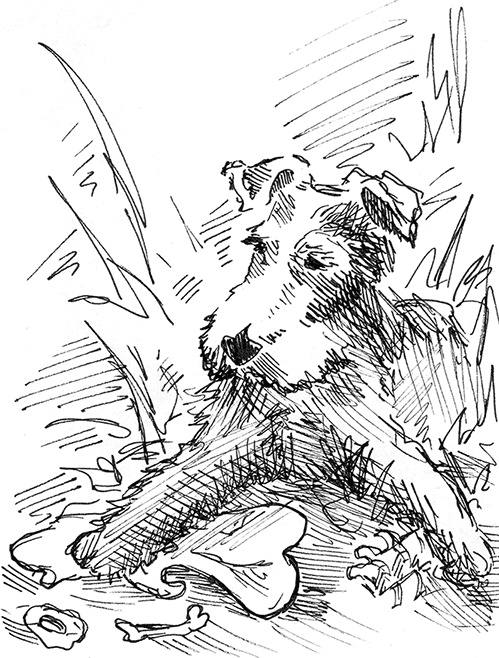 Иллюстрация к книге — Притчи@ру. Секрет счастья [Autogen_eBook_id29.jpg]