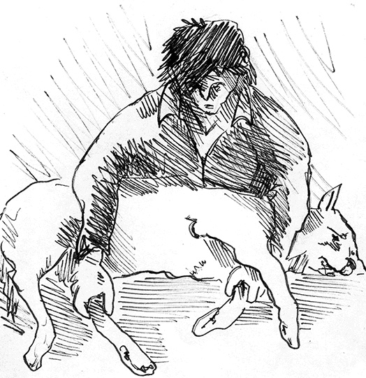 Иллюстрация к книге — Притчи@ру. Секрет счастья [Autogen_eBook_id50.jpg]