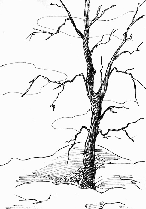 Иллюстрация к книге — Притчи@ру. Секрет счастья [Autogen_eBook_id52.jpg]