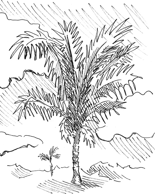 Иллюстрация к книге — Притчи@ру. Секрет счастья [Autogen_eBook_id59.jpg]