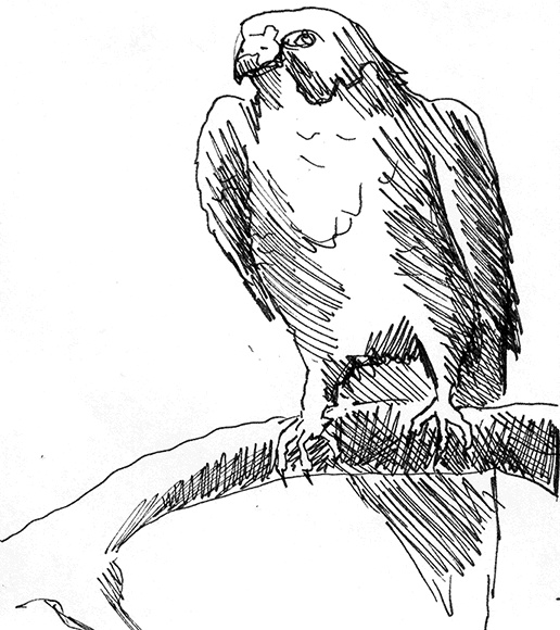 Иллюстрация к книге — Притчи@ру. Секрет счастья [Autogen_eBook_id70.jpg]