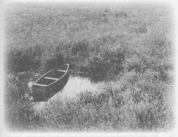 Иллюстрация к книге — Небесный огонь и другие рассказы [i_080.jpg]