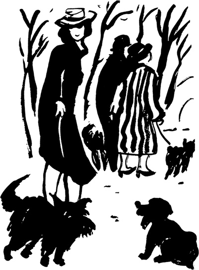 Иллюстрация к книге — Лестница Ламарка [Autogen_eBook_id4.jpg]