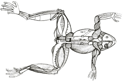 Иллюстрация к книге — Когда отдыхают ангелы [i_040.jpg]