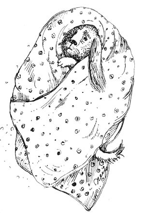 Иллюстрация к книге — Мохнатый ребенок [i_007.jpg]