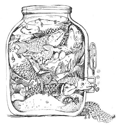 Иллюстрация к книге — Мохнатый ребенок [i_018.jpg]