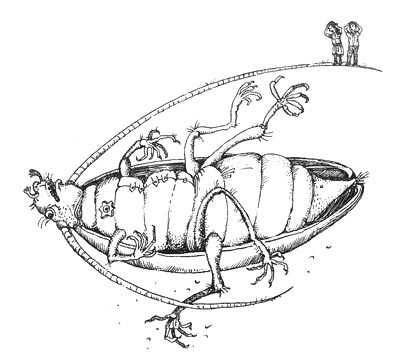 Иллюстрация к книге — Мохнатый ребенок [i_021.jpg]