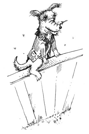 Иллюстрация к книге — Мохнатый ребенок [i_028.jpg]