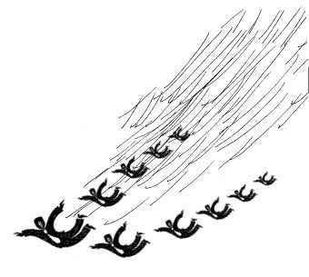 Иллюстрация к книге — Топ 10, или Мужчиnа Моей Мечты [i_001.jpg]