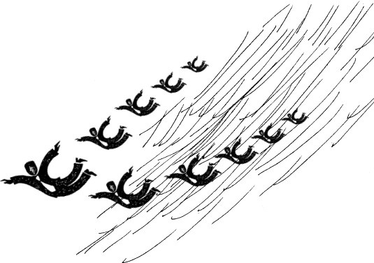 Иллюстрация к книге — Топ 10, или Мужчиnа Моей Мечты [i_005.jpg]