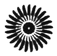 Иллюстрация к книге — Огненный дождь [i_004.jpg]