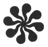 Иллюстрация к книге — Огненный дождь [i_005.jpg]