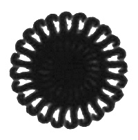 Иллюстрация к книге — Огненный дождь [i_007.jpg]