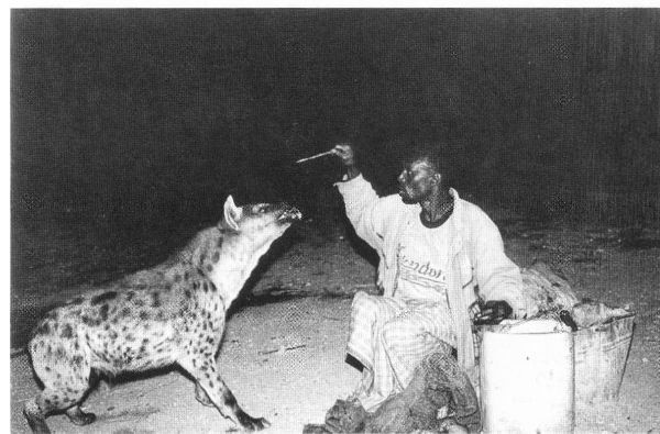 Иллюстрация к книге — В поисках копей царя Соломона [i_004.jpg]