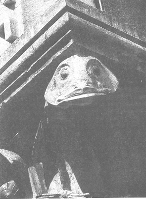 Иллюстрация к книге — Венеция - это рыба [i_003.jpg]