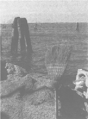 Иллюстрация к книге — Венеция - это рыба [i_004.jpg]