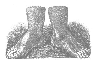 Иллюстрация к книге — Венеция - это рыба [i_005.jpg]