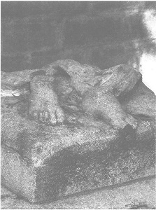 Иллюстрация к книге — Венеция - это рыба [i_006.jpg]