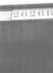 Иллюстрация к книге — Венеция - это рыба [i_007.jpg]