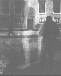 Иллюстрация к книге — Венеция - это рыба [i_010.jpg]