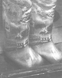 Иллюстрация к книге — Венеция - это рыба [i_013.jpg]