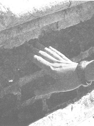 Иллюстрация к книге — Венеция - это рыба [i_020.jpg]