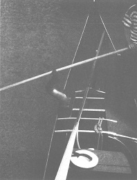 Иллюстрация к книге — Венеция - это рыба [i_021.jpg]