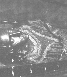 Иллюстрация к книге — Венеция - это рыба [i_041.jpg]