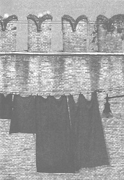 Иллюстрация к книге — Венеция - это рыба [i_050.jpg]