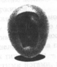 Иллюстрация к книге — Только моя Япония (непридуманное) [i_014.jpg]