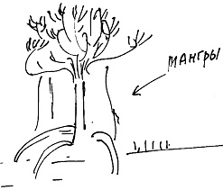 Иллюстрация к книге — Тропик лейтенанта. Пиратское рондо [i_060.jpg]