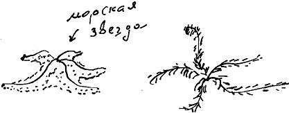 Иллюстрация к книге — Тропик лейтенанта. Пиратское рондо [i_062.jpg]