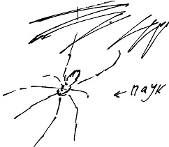 Иллюстрация к книге — Тропик лейтенанта. Пиратское рондо [i_075.jpg]