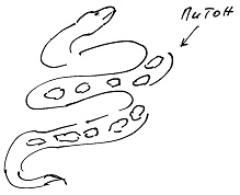 Иллюстрация к книге — Тропик лейтенанта. Пиратское рондо [i_077.jpg]