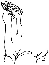 Иллюстрация к книге — Тропик лейтенанта. Пиратское рондо [i_078.jpg]