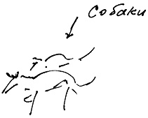 Иллюстрация к книге — Тропик лейтенанта. Пиратское рондо [i_090.jpg]