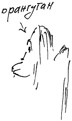 Иллюстрация к книге — Тропик лейтенанта. Пиратское рондо [i_101.jpg]