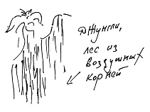 Иллюстрация к книге — Тропик лейтенанта. Пиратское рондо [i_104.jpg]