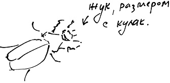 Иллюстрация к книге — Тропик лейтенанта. Пиратское рондо [i_108.jpg]