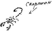 Иллюстрация к книге — Тропик лейтенанта. Пиратское рондо [i_110.jpg]