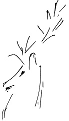 Иллюстрация к книге — Тропик лейтенанта. Пиратское рондо [i_119.jpg]