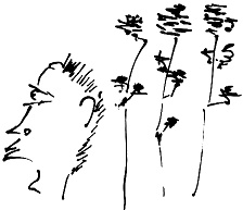 Иллюстрация к книге — Тропик лейтенанта. Пиратское рондо [i_128.jpg]