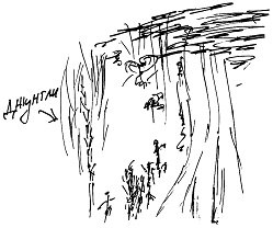 Иллюстрация к книге — Тропик лейтенанта. Пиратское рондо [i_131.jpg]