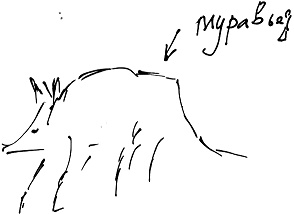 Иллюстрация к книге — Тропик лейтенанта. Пиратское рондо [i_132.jpg]