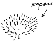 Иллюстрация к книге — Тропик лейтенанта. Пиратское рондо [i_154.jpg]