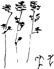 Иллюстрация к книге — Тропик лейтенанта. Пиратское рондо [i_168.jpg]